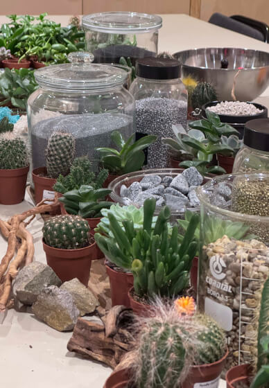 Desert in a Glass: Open Terrarium Workshop with Cacti and Succulent
