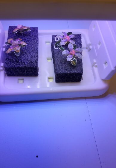 Dip Resin Wire Flowers Earrings Workshop