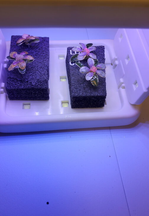 Dip Resin Wire Flowers Earrings Workshop