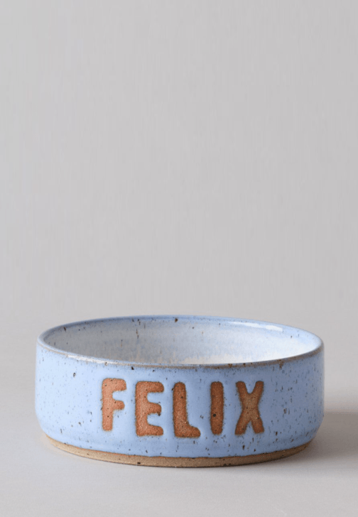 Dog and Cat Bowl Pottery Workshop