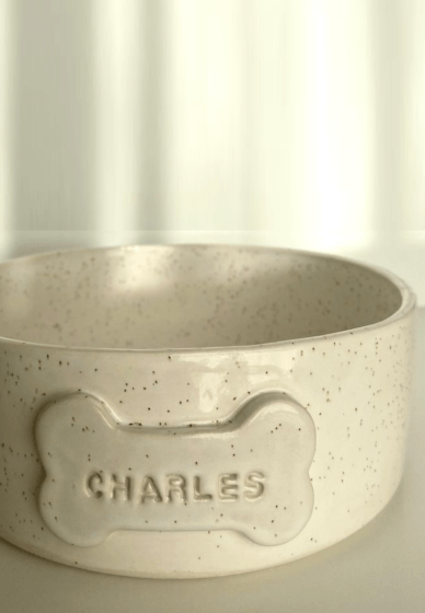 Dog and Cat Bowl Pottery Workshop