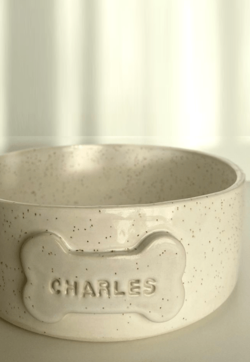 Dog and Cat Bowl Pottery Workshop