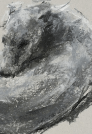 Dog Life Drawing Workshop