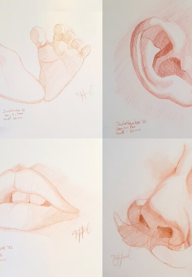 Drawing and Painting Course: Classical Studies
