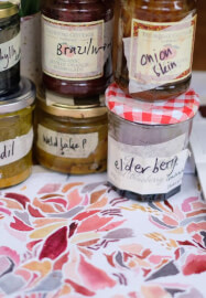 Drawing with Stitch: Natural Dyeing and Hand Embroidery