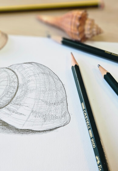 Drawing Workshop: Still Life with Everyday Objects