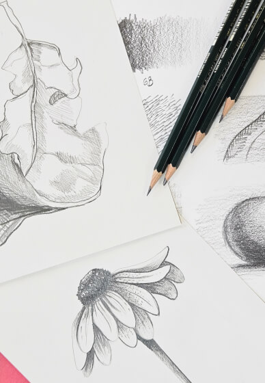 Drawing Workshop: Still Life with Everyday Objects
