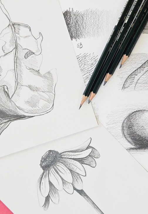 Drawing Workshop: Still Life with Everyday Objects