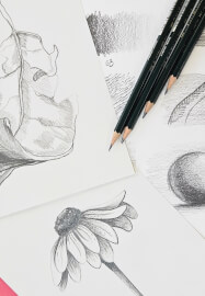 Drawing Workshop: Still Life with Everyday Objects