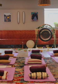 Dreams, Blue Lotus and Sound Healing