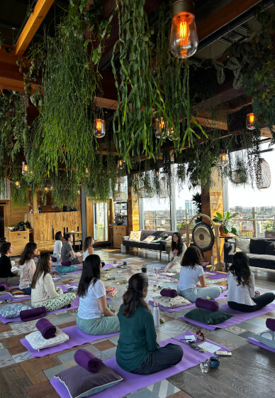 Dreams, Blue Lotus and Sound Healing