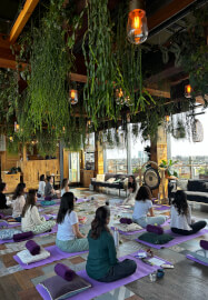 Dreams, Blue Lotus and Sound Healing