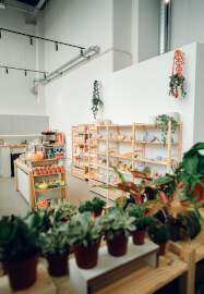 Eco Plant Pot Making Workshop