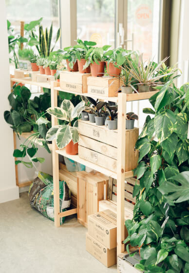 Eco Plant Pot Making Workshop