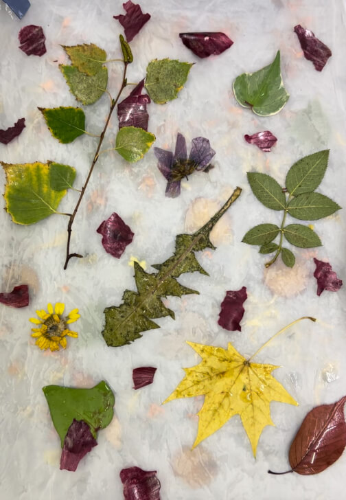 Eco-Printing Workshop