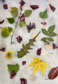 Eco-Printing Workshop