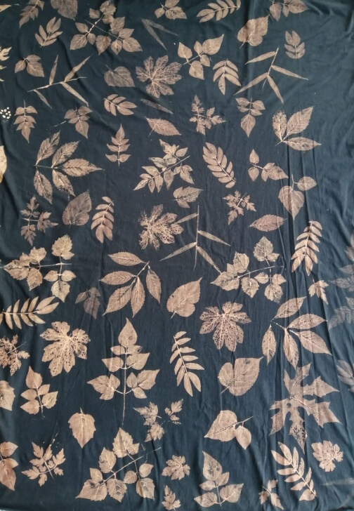 Eco Printing Workshop