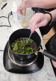 Family Bubble Tea Workshop: Make Boba and Creative Drinks Together