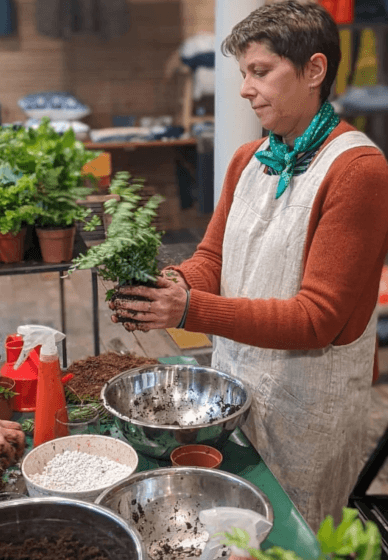 Fern Kokedama Workshop
