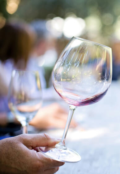 Fine Wine Tasting and Handmade Pasta Workshop