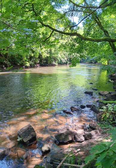 Fishing Fly Tying Workshop - Half Day