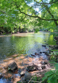 Fishing Fly Tying Workshop - Half Day
