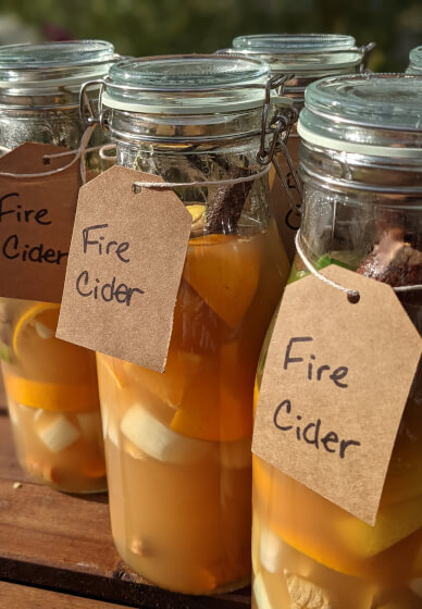 Fix, Mix and Grow: A Seasonal Creative Open Workshop and Garden