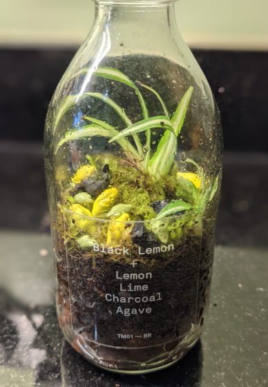Fix, Mix and Grow: A Seasonal Creative Open Workshop and Garden