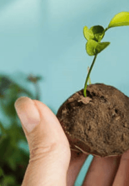 Fix, Mix and Grow: A Seasonal Creative Open Workshop and Garden
