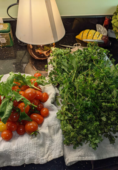 Fix, Mix and Grow: A Seasonal Creative Open Workshop and Garden
