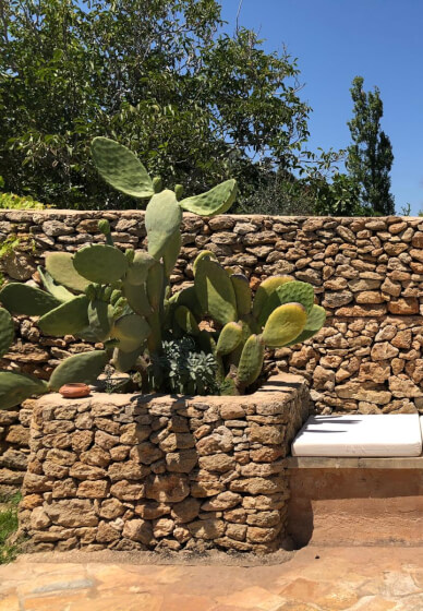 Food and Wellness Retreat in Salento