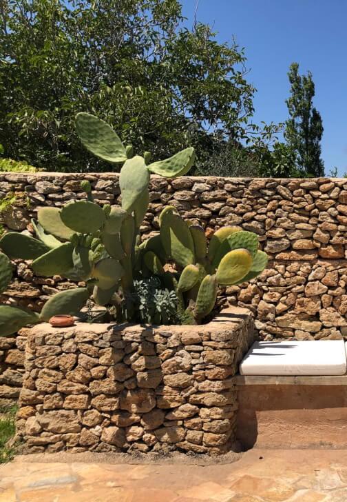 Food and Wellness Retreat in Salento