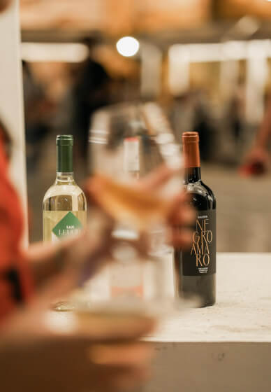 Food and Wellness Retreat in Salento