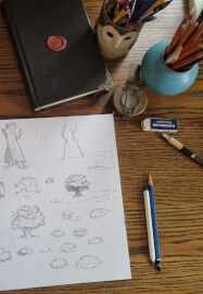 Forest Drawing Course