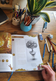 Forest Drawing Course