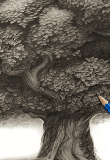 Forest Drawing Course