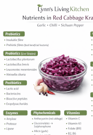 Foundational Fermentation and Microbiome Masterclass