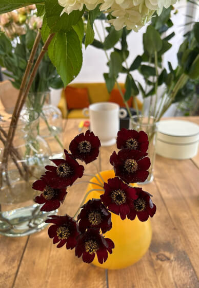 Fresh Flowers Bouquet Class