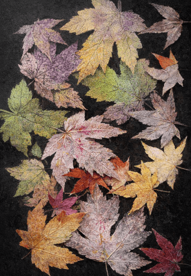 Gel Plate Printing and Collage Workshop Lechlade