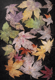 Gel Plate Printing and Collage Workshop Lechlade