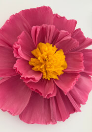 Giant Paper Flower Making Workshop