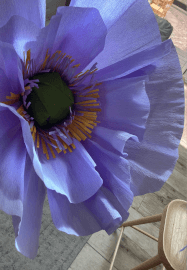 Giant Paper Flower Workshop