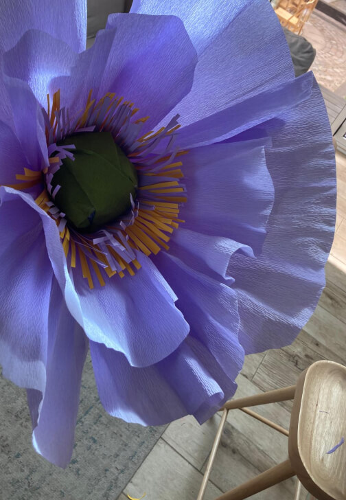 Giant Paper Flower Workshop