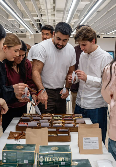 Group Tea Tasting Ceremony