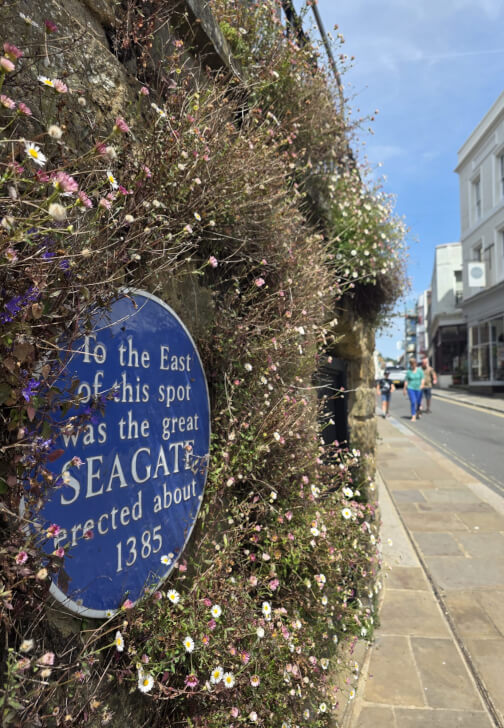 Hastings Smartphone Photography Workshop