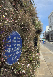 Hastings Smartphone Photography Workshop