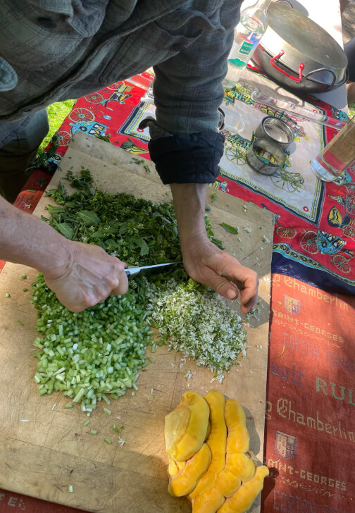 Hike and Wild Foraging Experience for Nepalese Momo