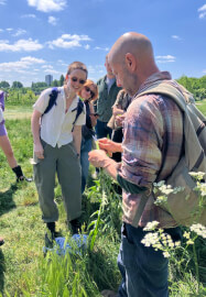 Hike and Wild Foraging Experience for Nepalese Momo