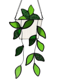 House Plant / Botanical Stained Glass Workshop