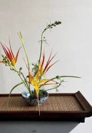 Ikebana Flower Arranging Workshop
